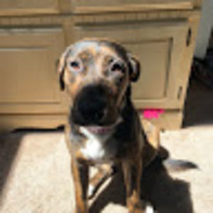 Meet your Posher, Andrew